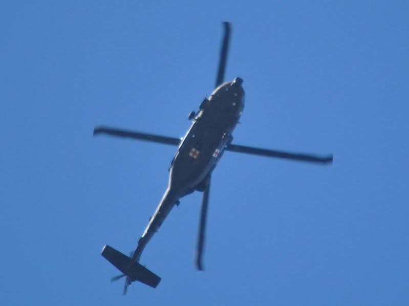 DSC_0137.jpg