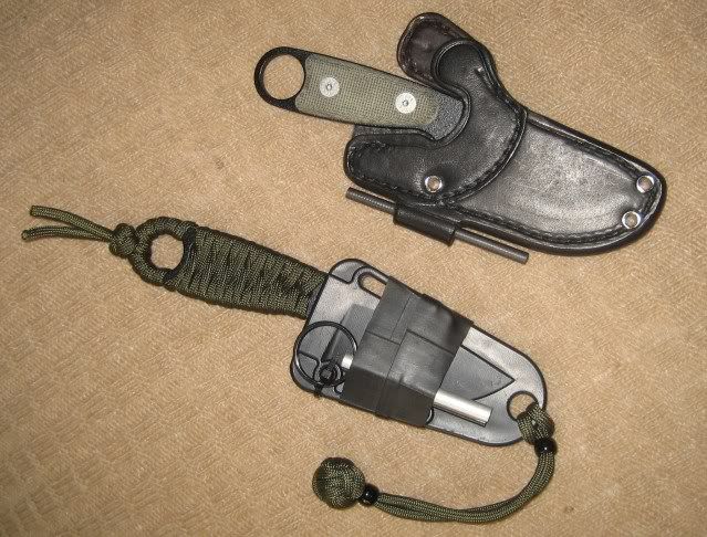 rat088.jpg