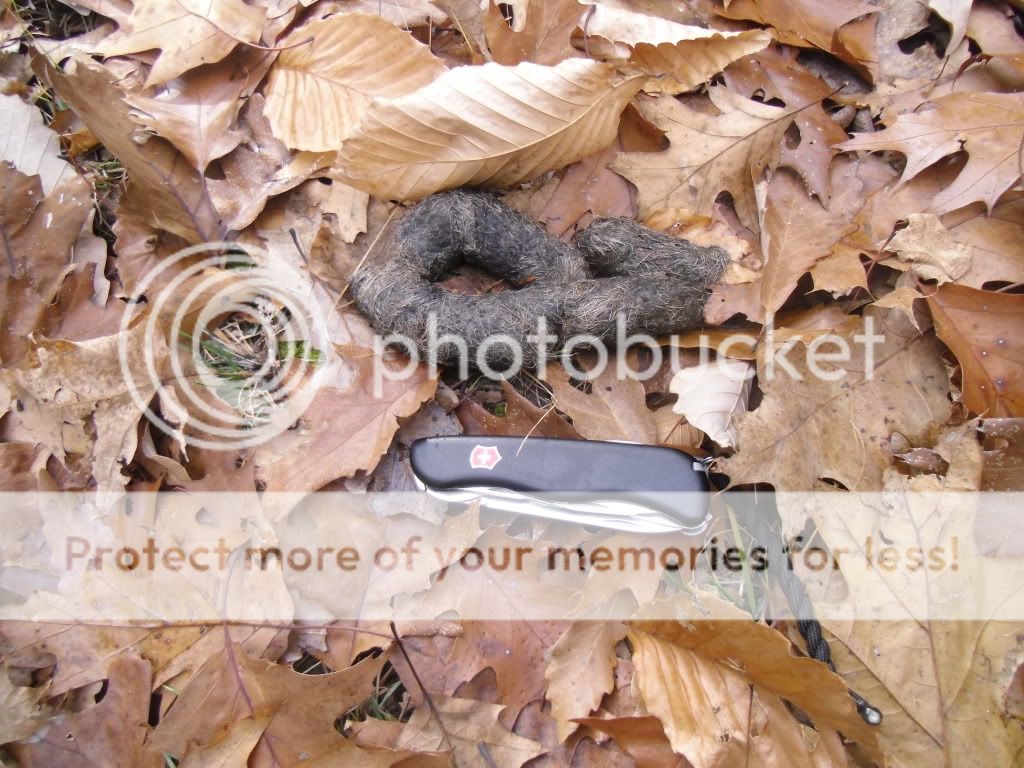 PICT0027-17.jpg