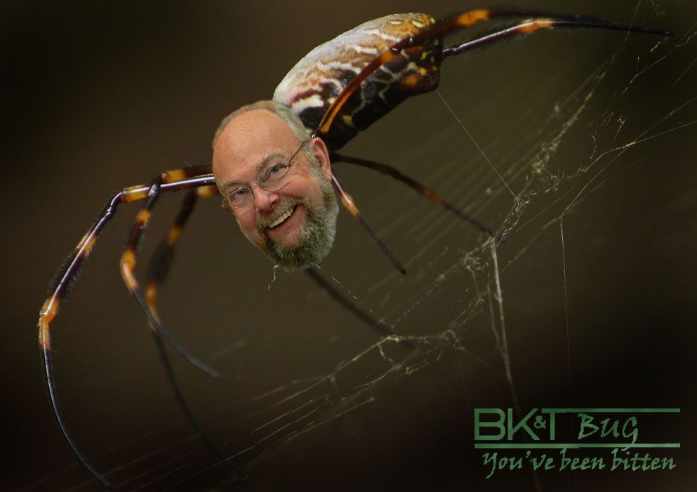 BKTBug.jpg