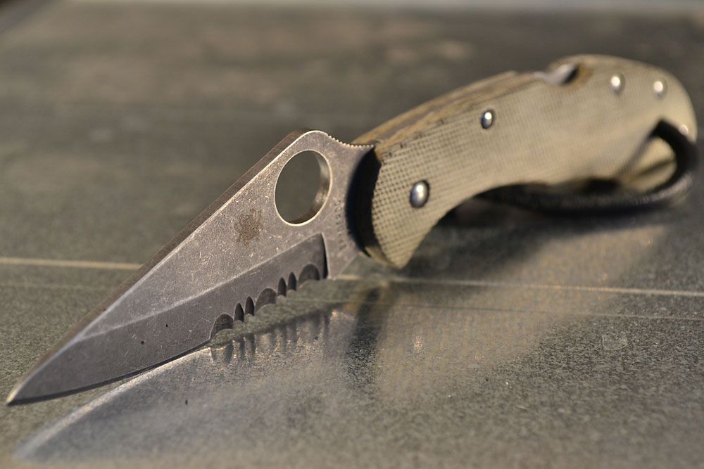 delica_3.jpg