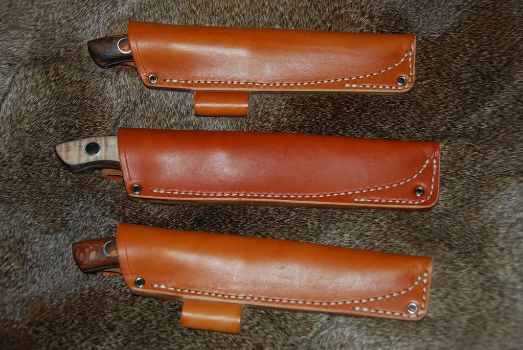 Fiddleback005.jpg