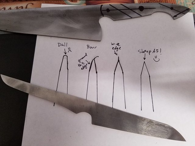 7jqZegOl.jpg