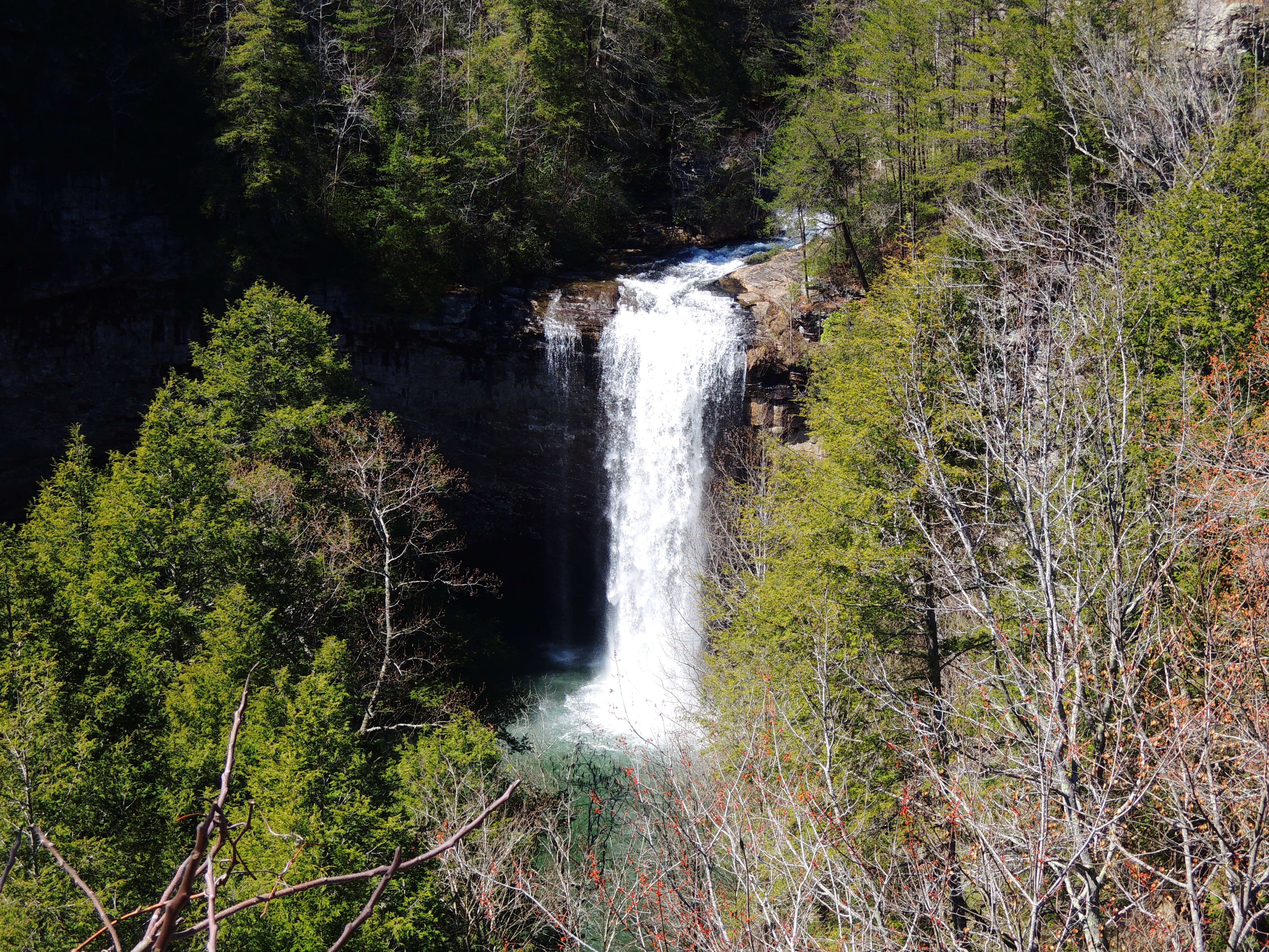 dscn9475.jpg