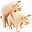 pig4.gif