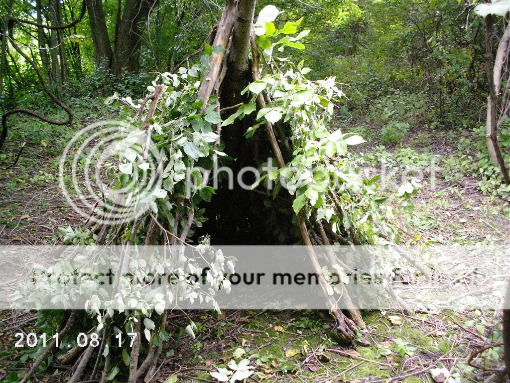 DCFC0183.jpg~original