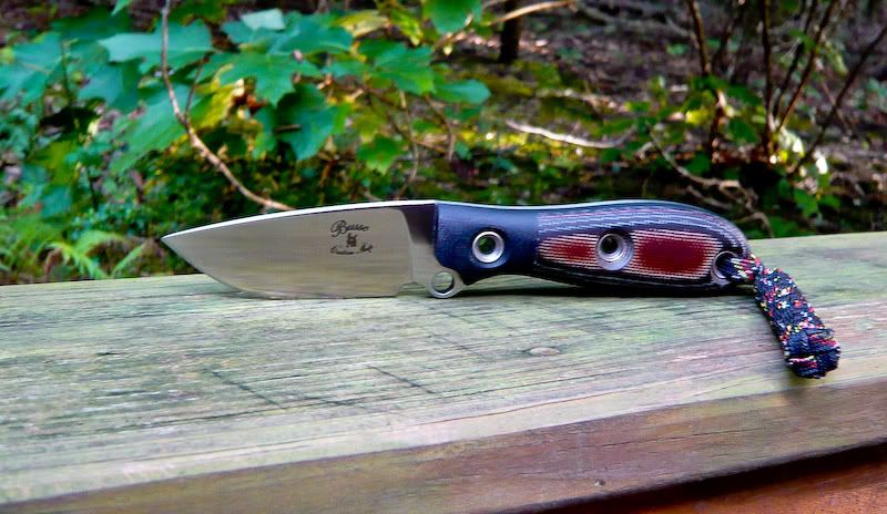 BUSSE-CS_GREX-GW_BLADE2011a.jpg