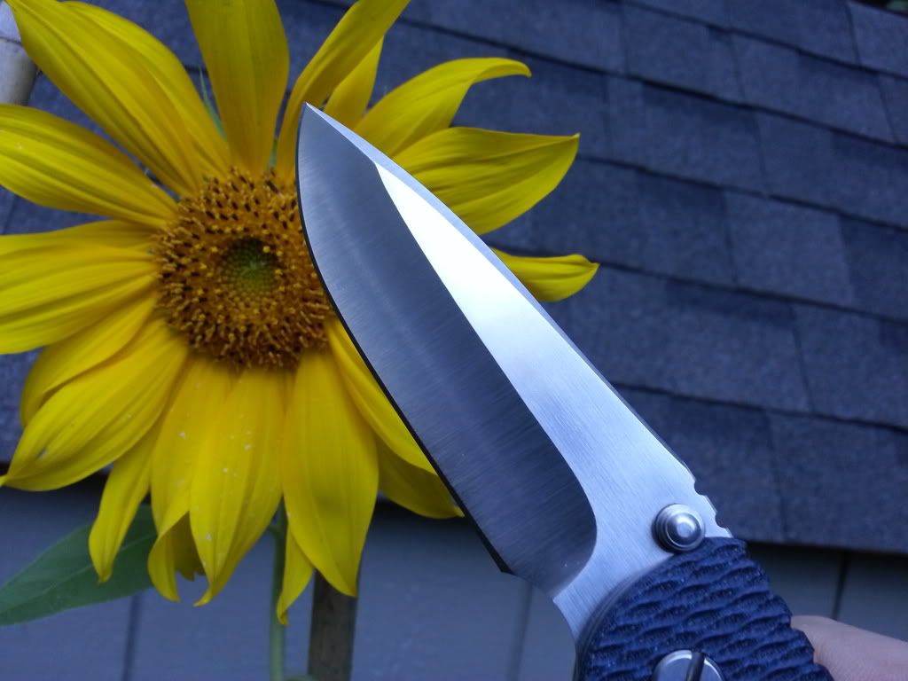20130917_173352_zpsa6023efe.jpg