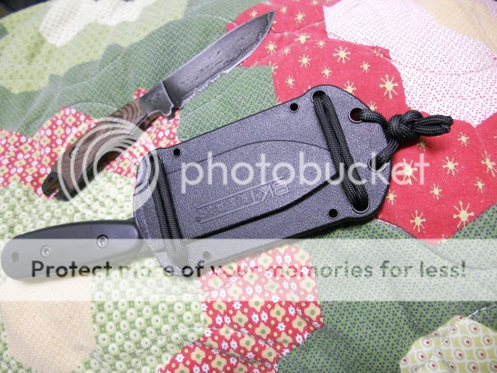 DSCN0207.jpg