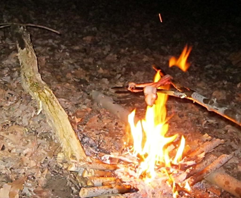 20120203_ac_0016.jpg