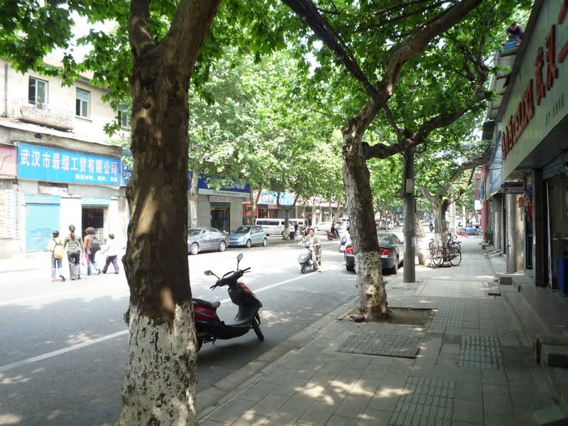 P1060911.jpg