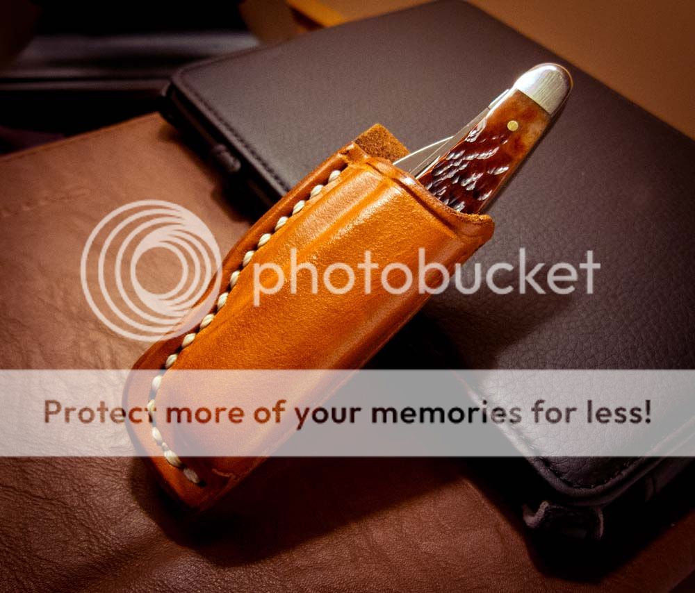 seahorse_sheath.jpg~original