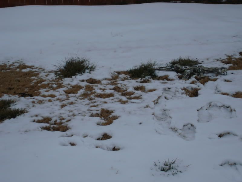 DSC03832.jpg