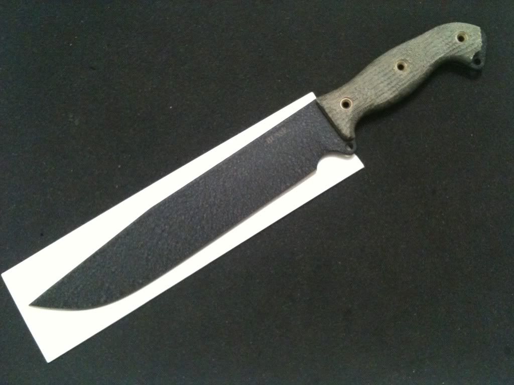475a6efa.jpg