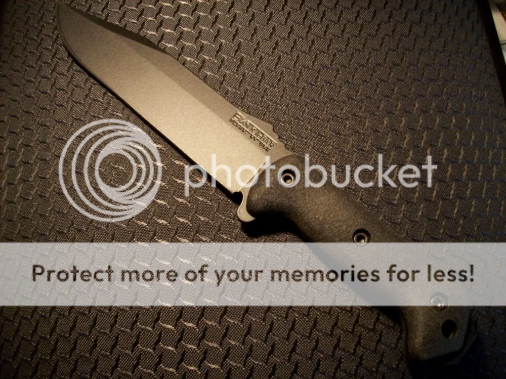 PictureorVideo1273.jpg