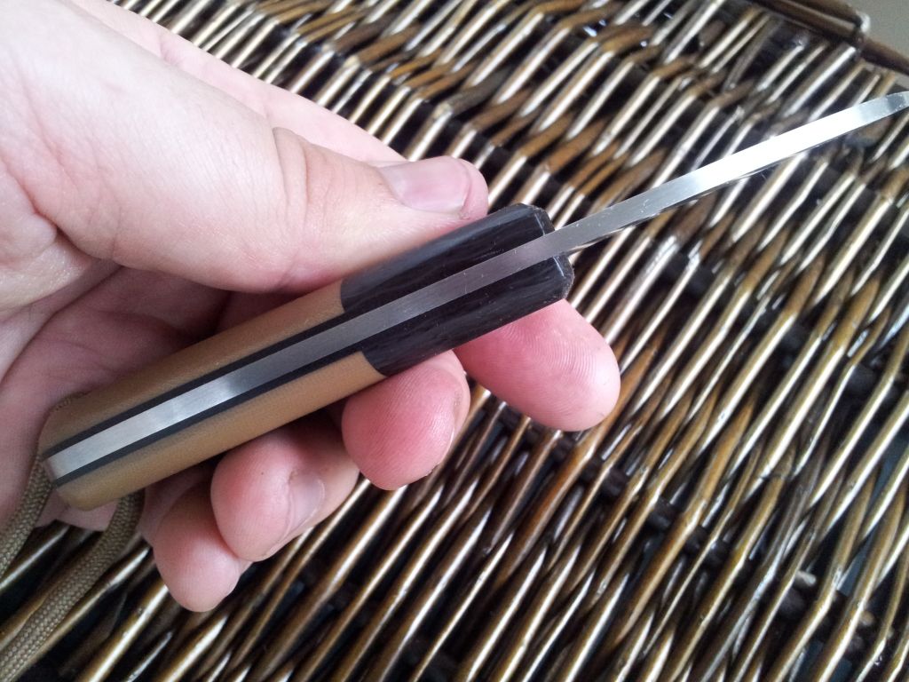 2012-06-11193205.jpg