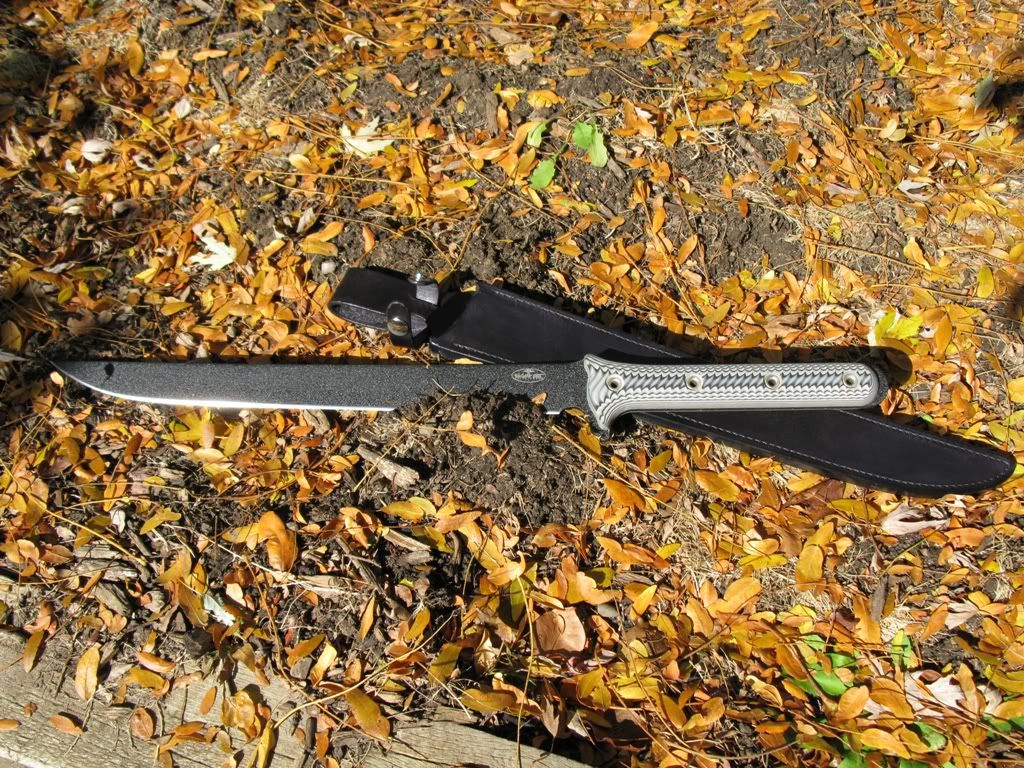 R3.jpg