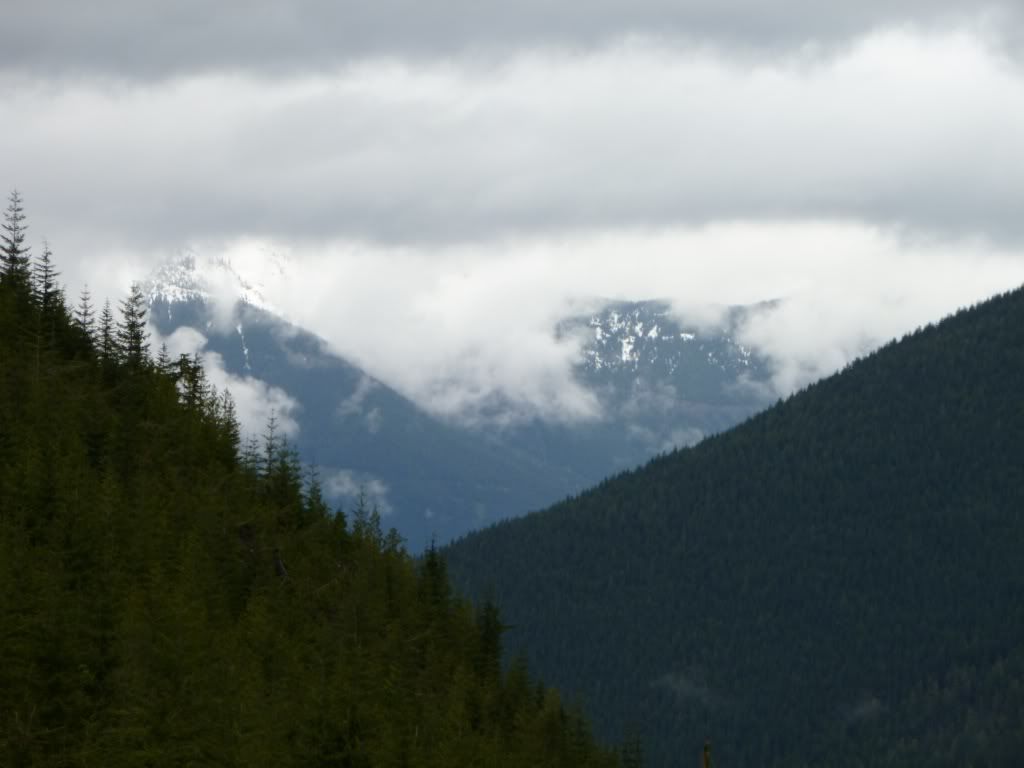 P1000208.jpg