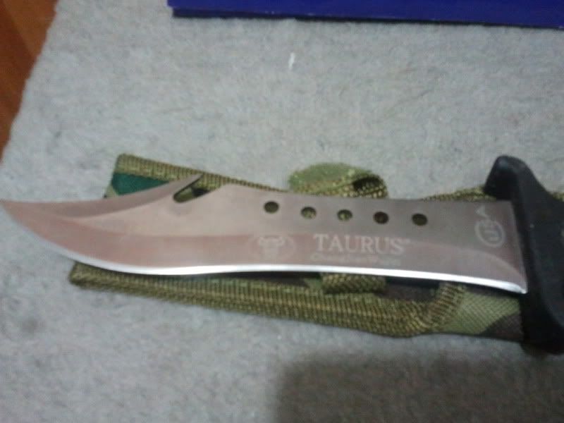 2011-10-10082511.jpg