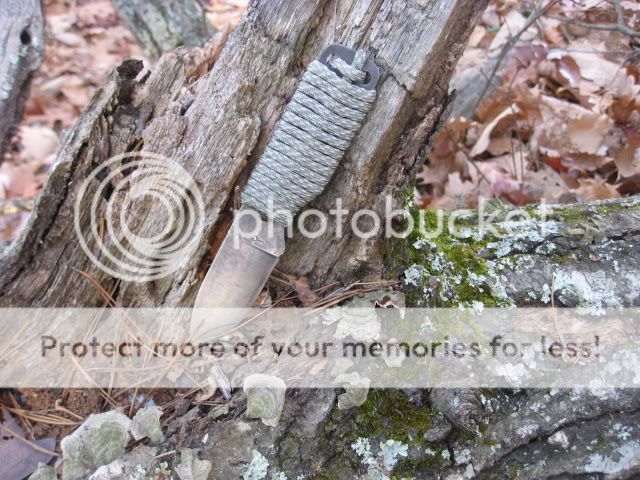 IMG_2279.jpg