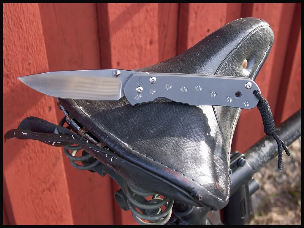 Sebenza_Bike.jpg
