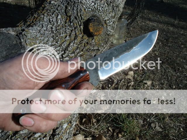 blackcocobolo008.jpg
