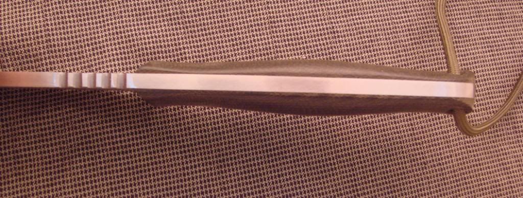 006_zpsa65883ff.jpg