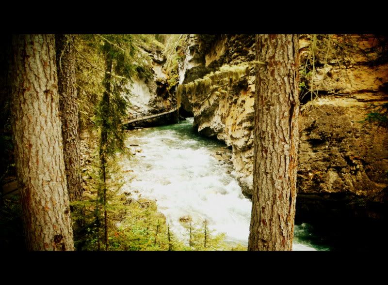 Banff2012260.jpg