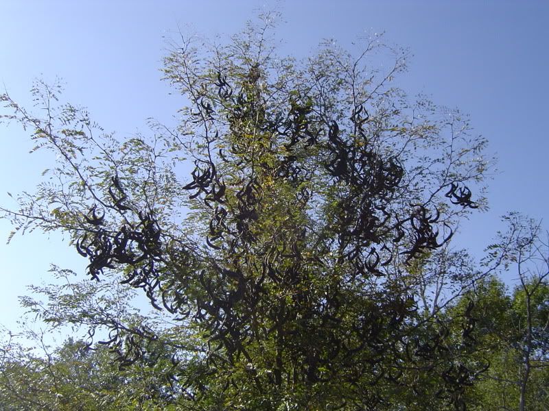 DSC09028.jpg