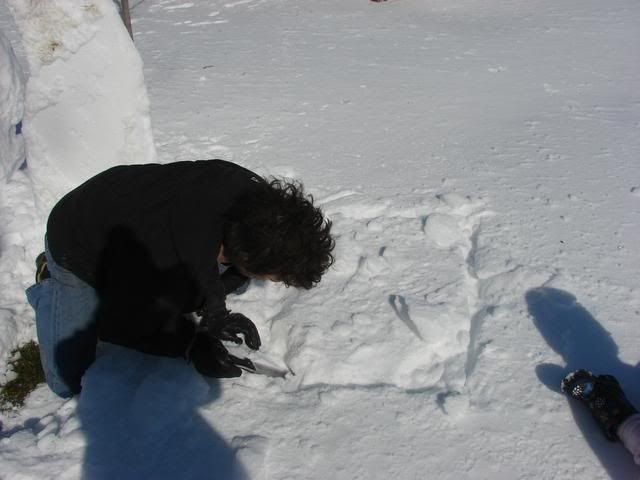 DSC00886.jpg