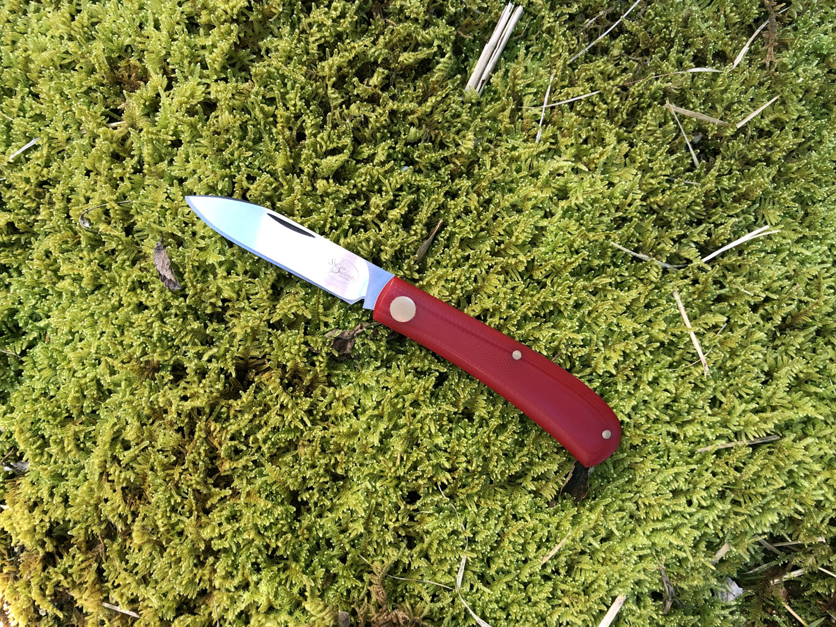 Bushbaby_moss.JPG