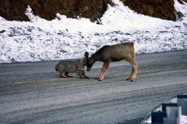 image001.jpg