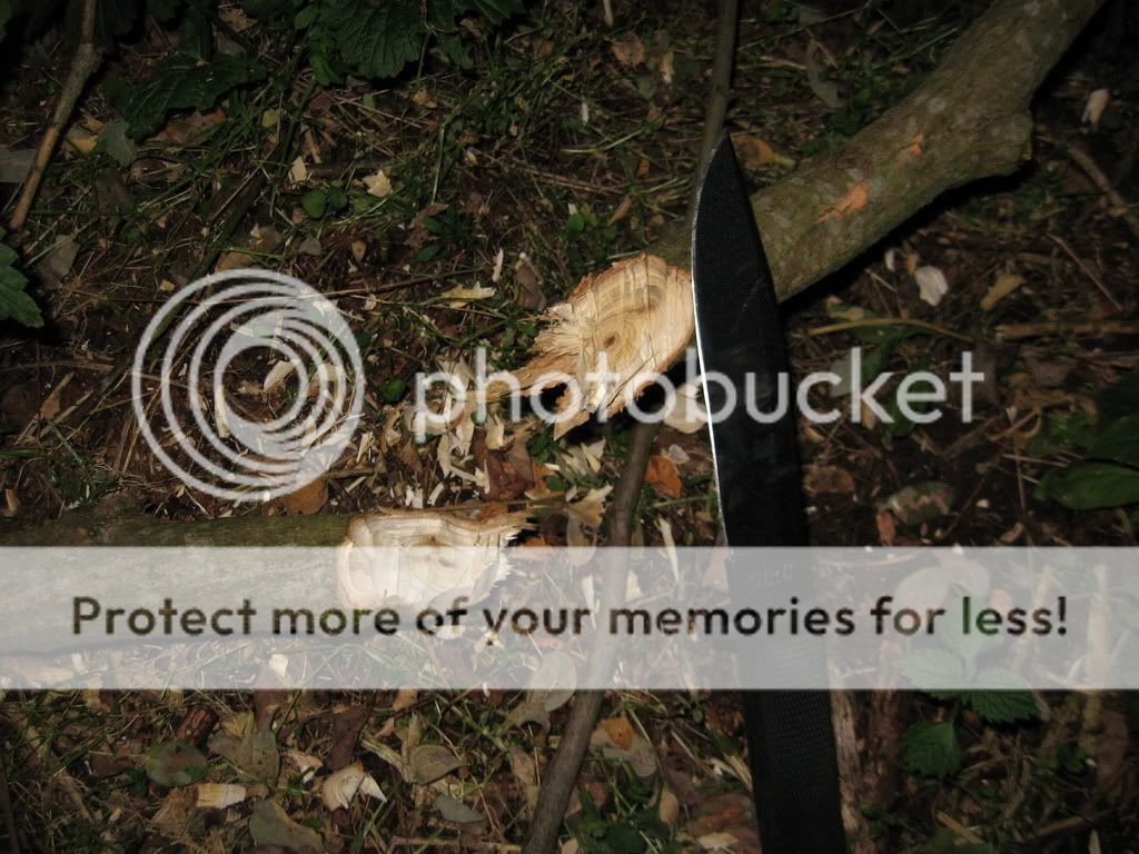 IMG_7011.jpg