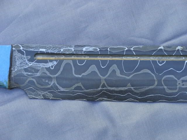 DSC01883.jpg
