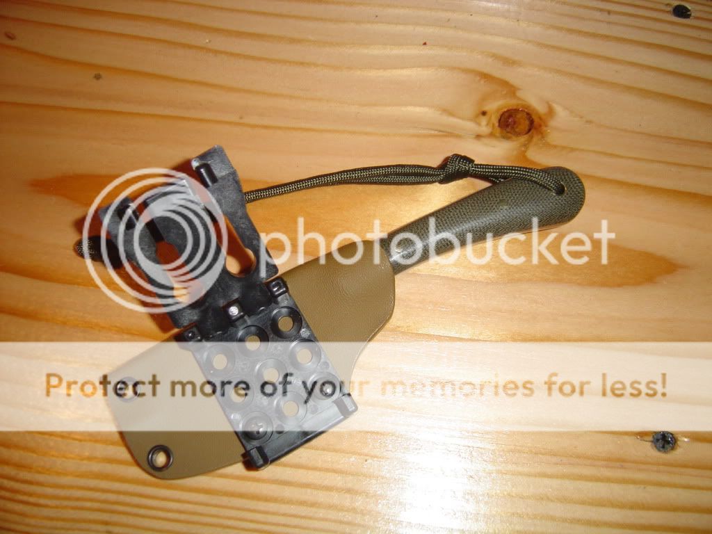 DSC01580.jpg