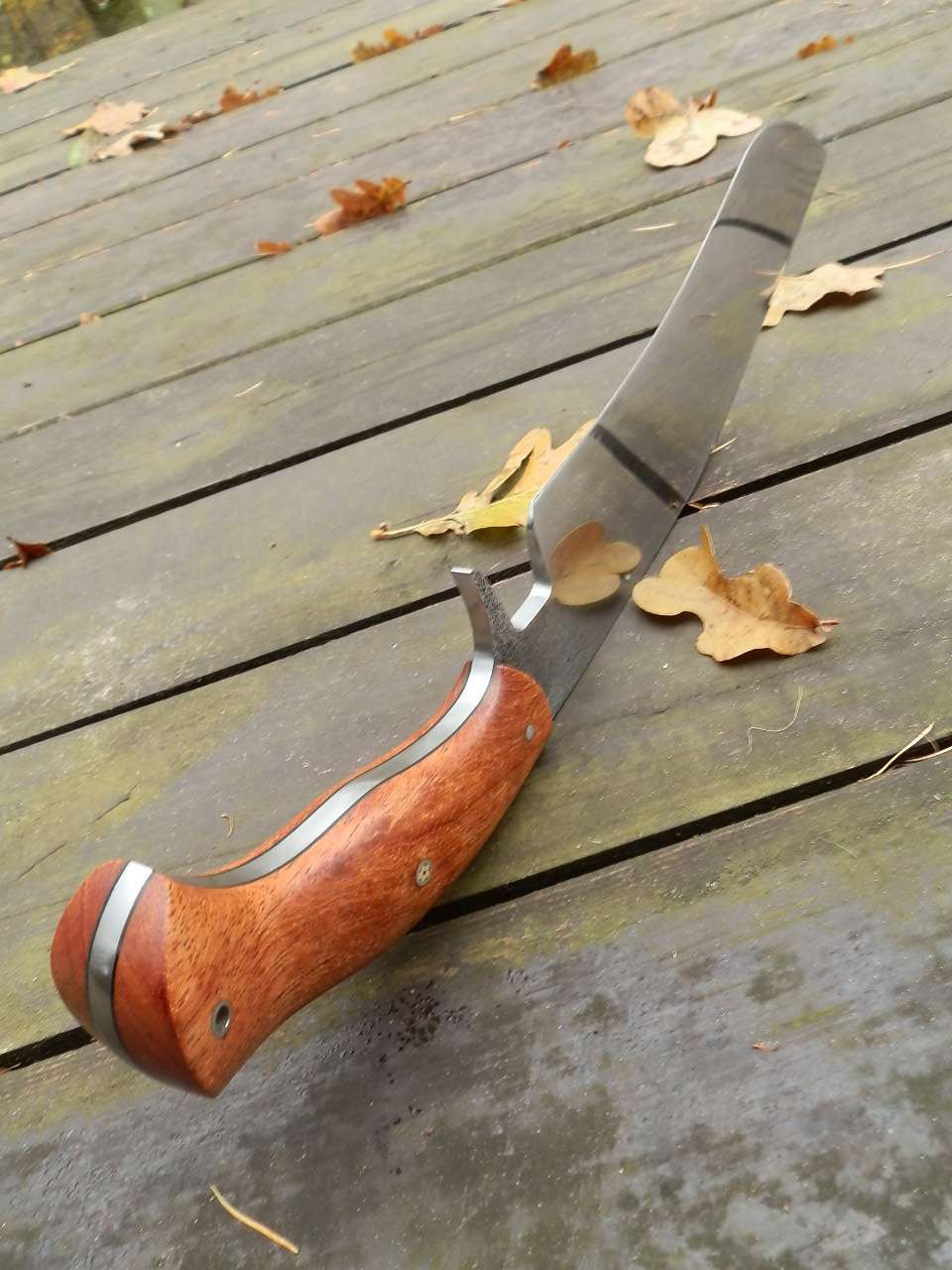 pb093998.jpg