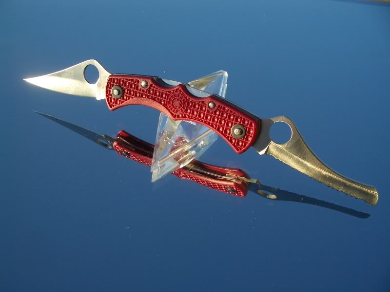 2006-12-08013.jpg