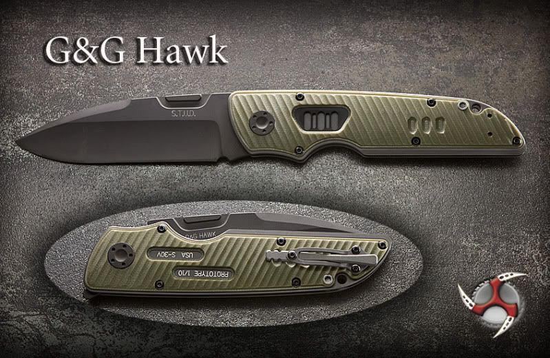 hawk37-5.jpg