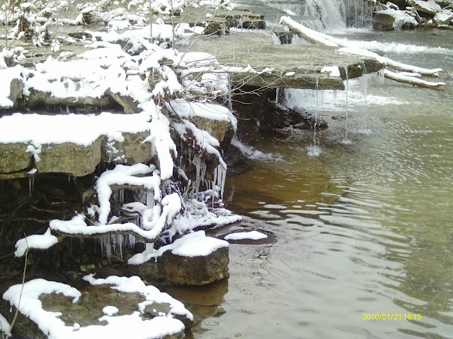 IMAG0097.JPG