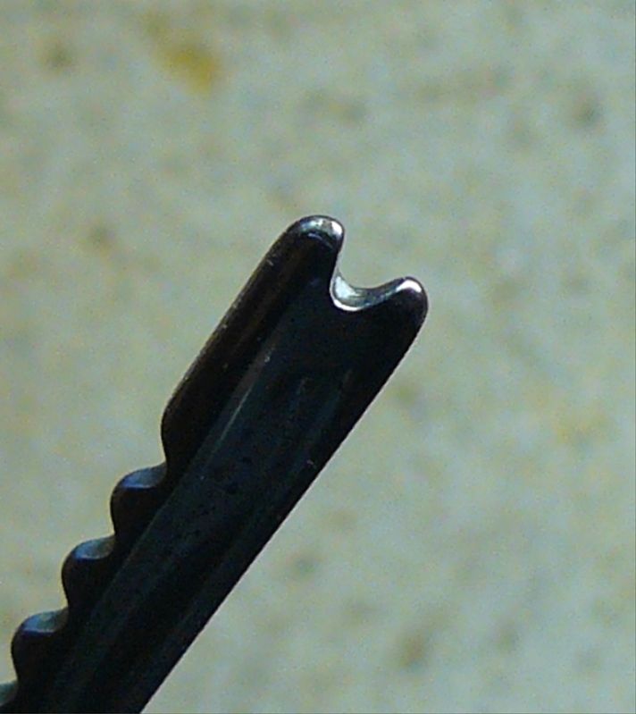 09-09-2012SchradeFishfolder044.jpg