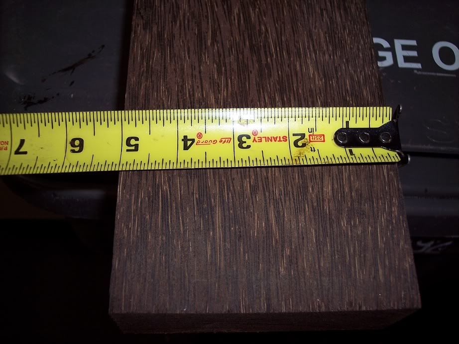 Bpalm003.jpg