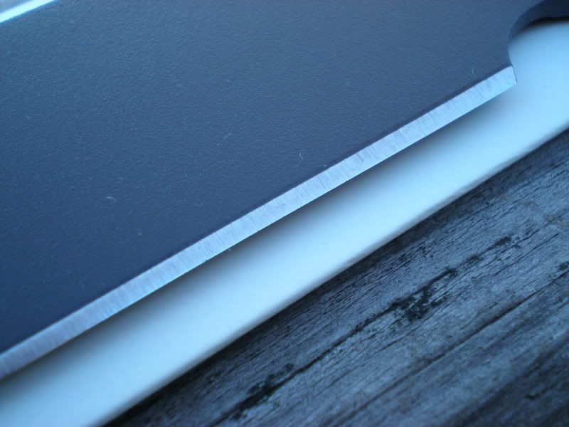 P1020017.jpg