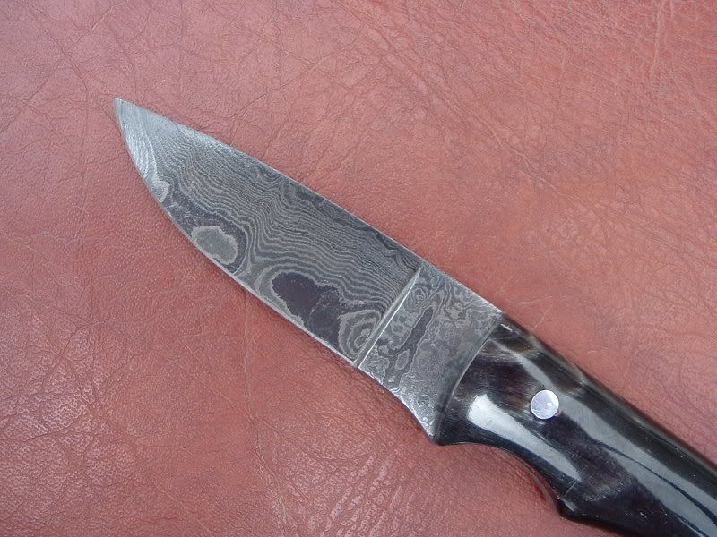 BuffaloEDC004.jpg