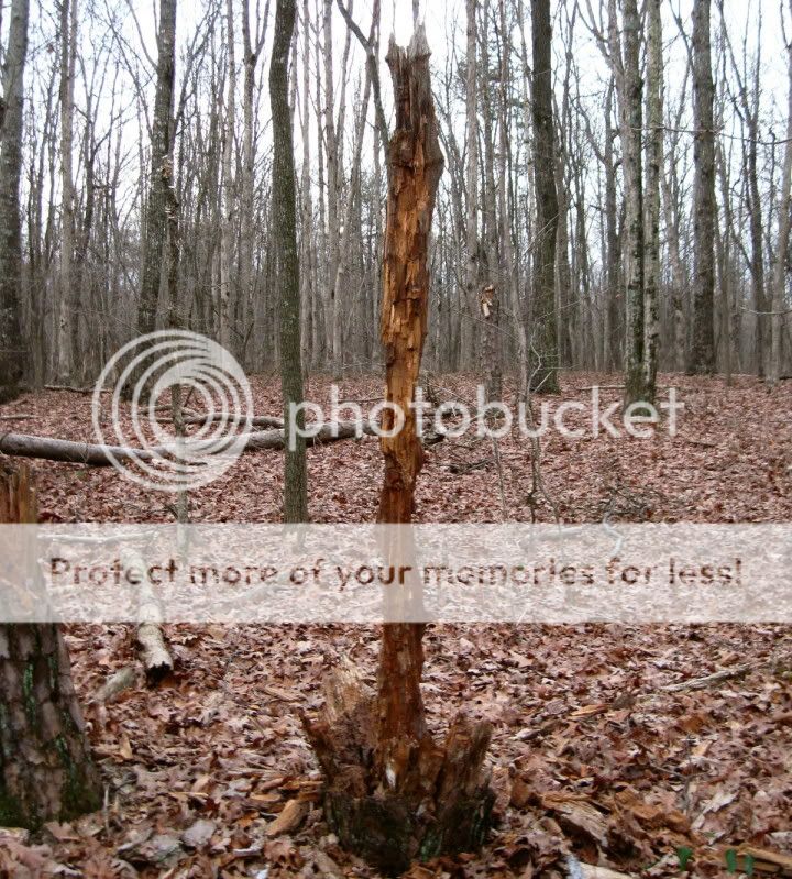 IMG_9634.jpg