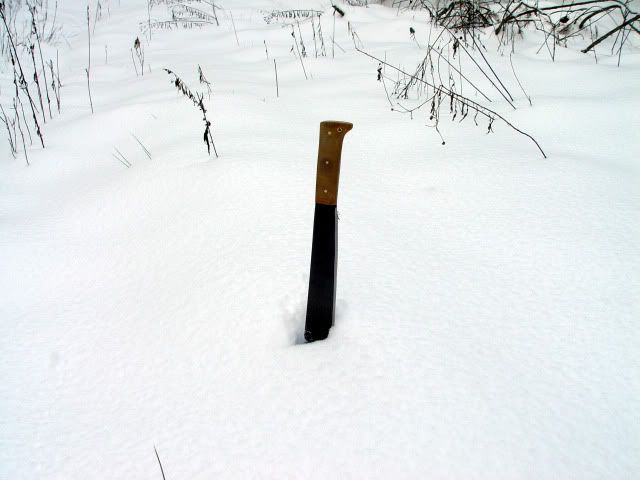 DSC08478.jpg