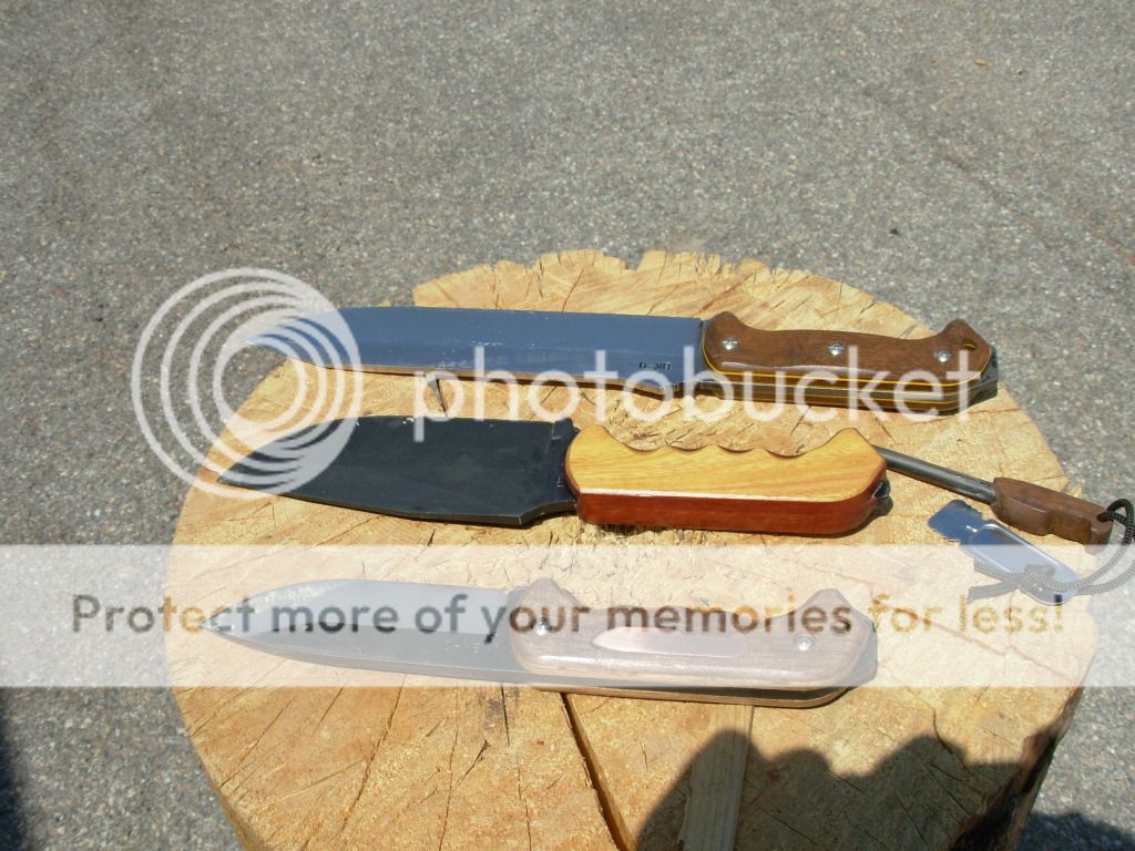DSCN1884.jpg