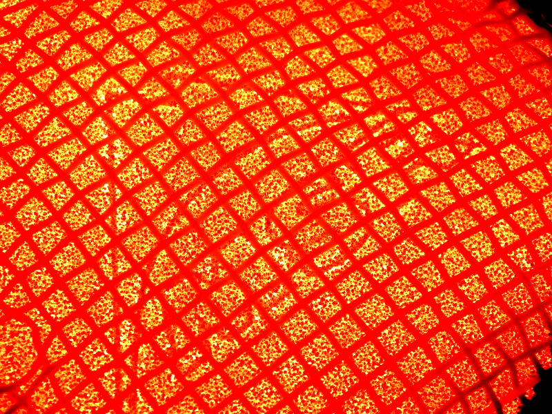 3848480372_a067c37205_o.jpg