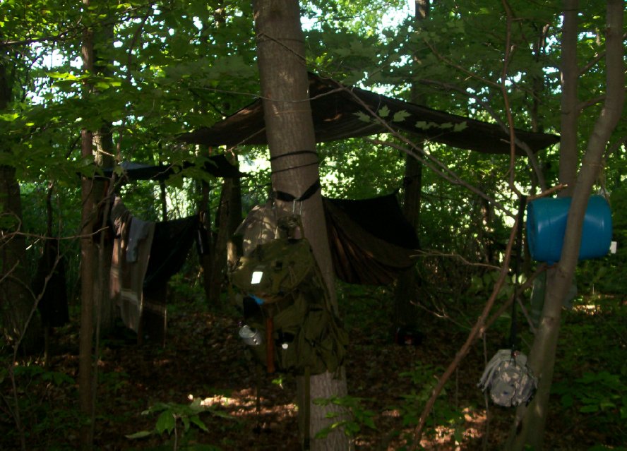 hammockland.jpg