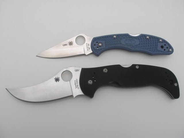 ChinookDelica3.jpg