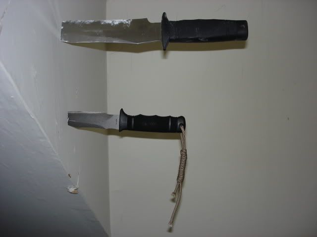 Picture3110.jpg